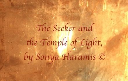 The Seeker and the Light by Sonya Haramis